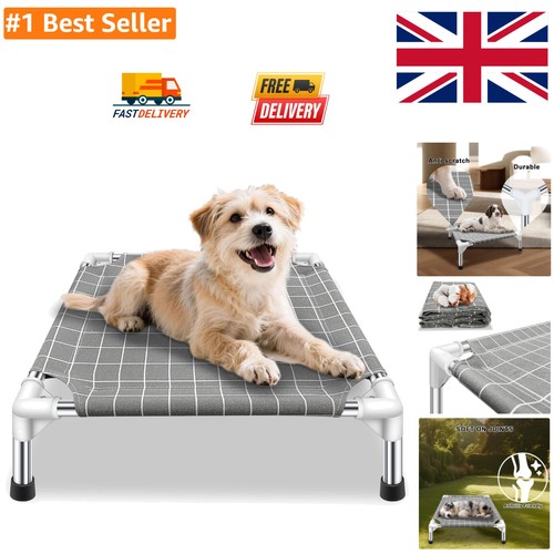 Portable elevated dog - elevated,