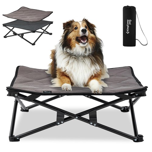 Kingcamp raised dog - dog, bed