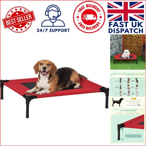 Cozy elevated traveling - traveling, pet