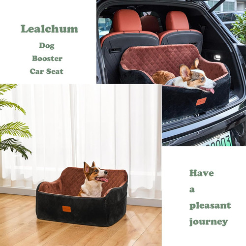 Luxury dog booster - dog, car