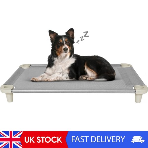 Cooling elevated pet - dog, bed