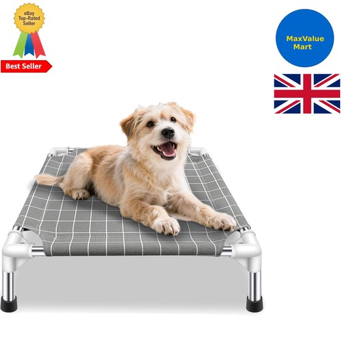 Compact and comfortable - comfortable, raised