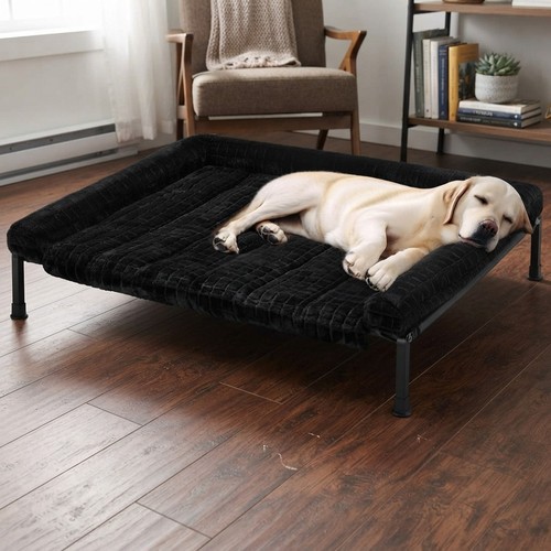 Large elevated dog - elevated, bed